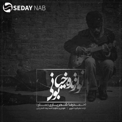 دانلود آهنگ جدید احمد سلو به نام نوازنده خیابونی
